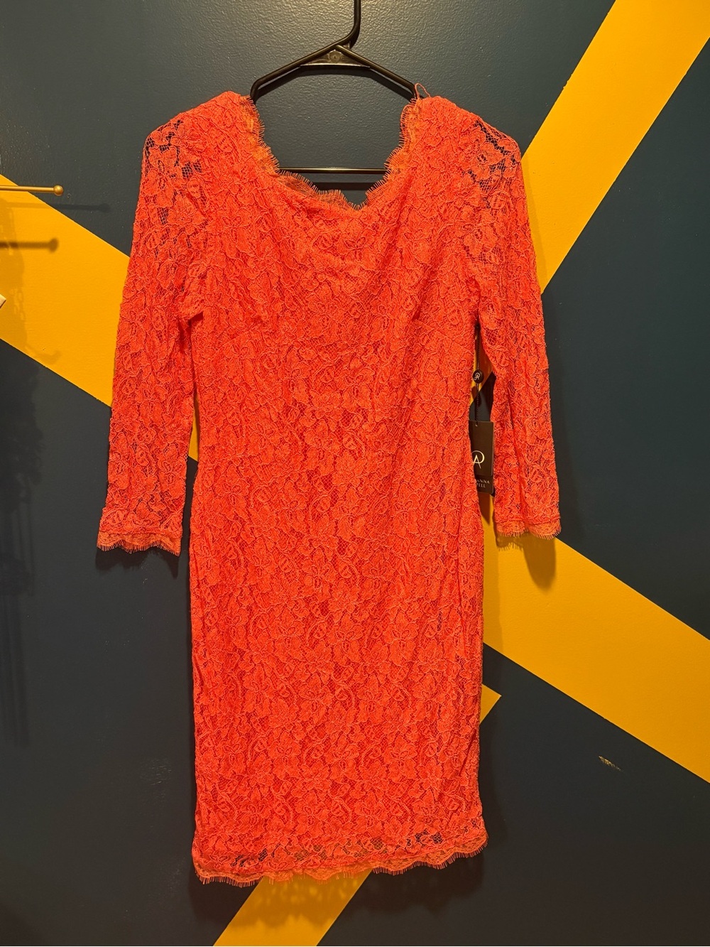 Adrianna Papell Coral Lace Long Sleeve Dress NWT
